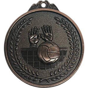 Medalla bronce de volleyball