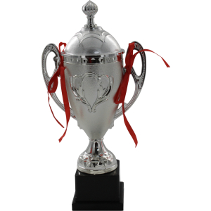 Trofeo de copa plateado
