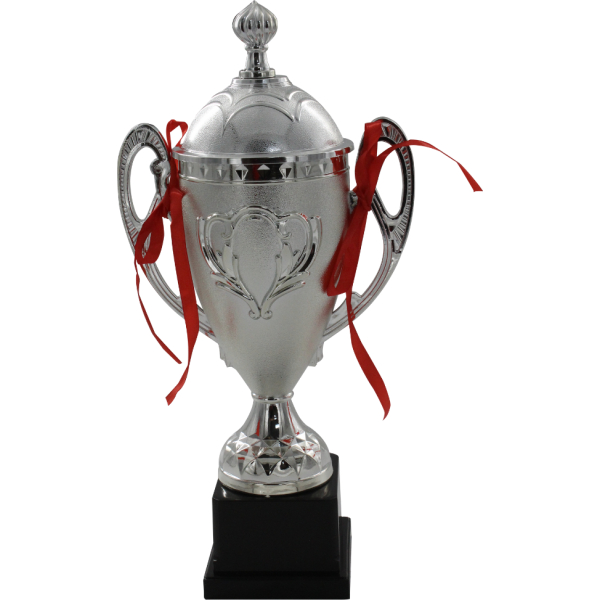 Trofeo de copa plateado