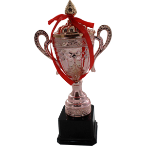 Trofeo de copa rose gold