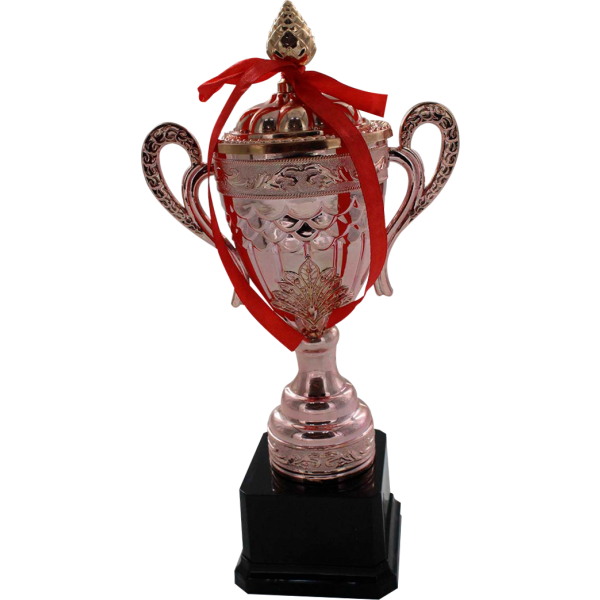 Trofeo de copa rose gold